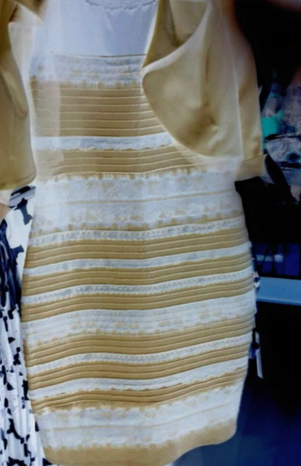 The Black And Blue White And Gold Dress Zenia