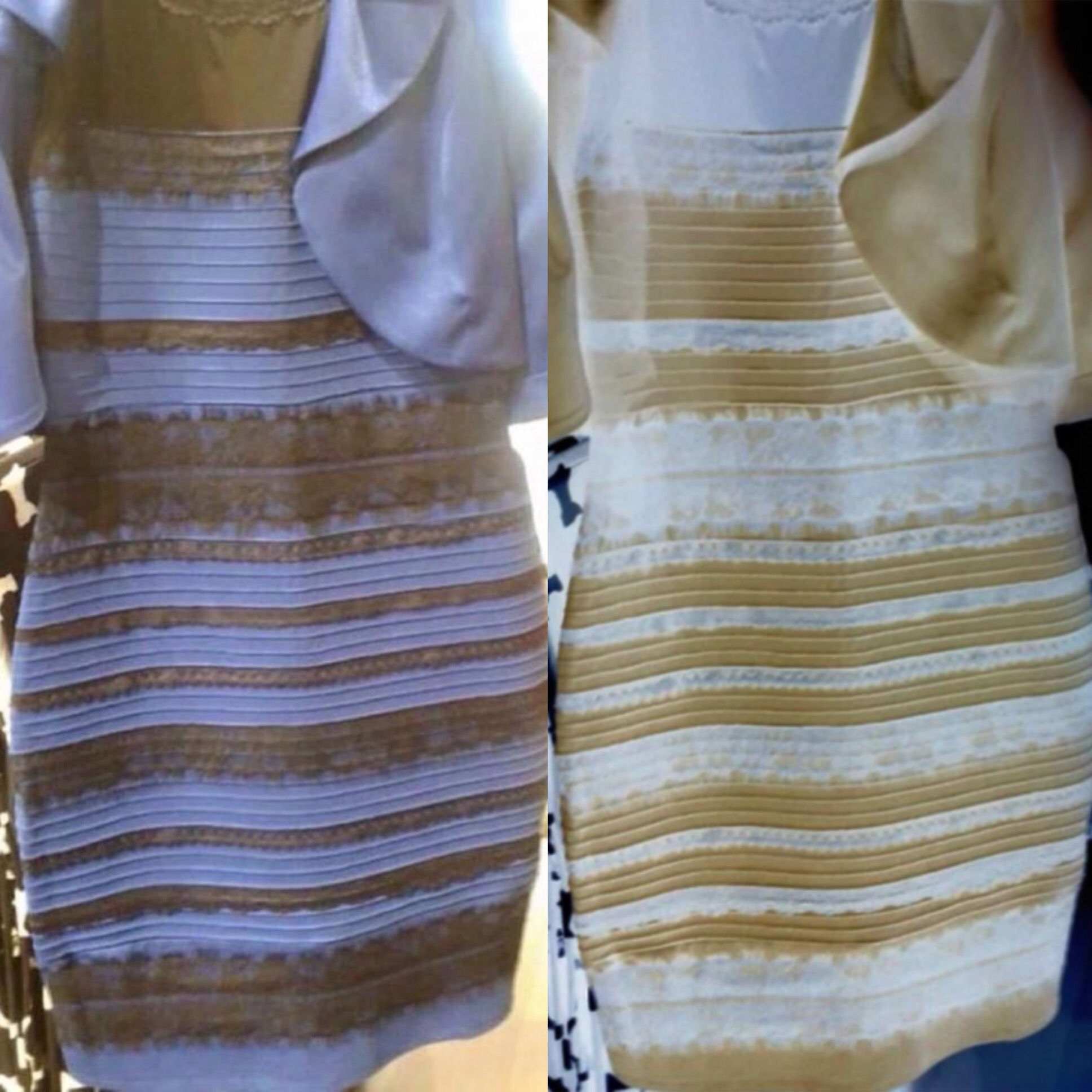 dress white and gold blue and black