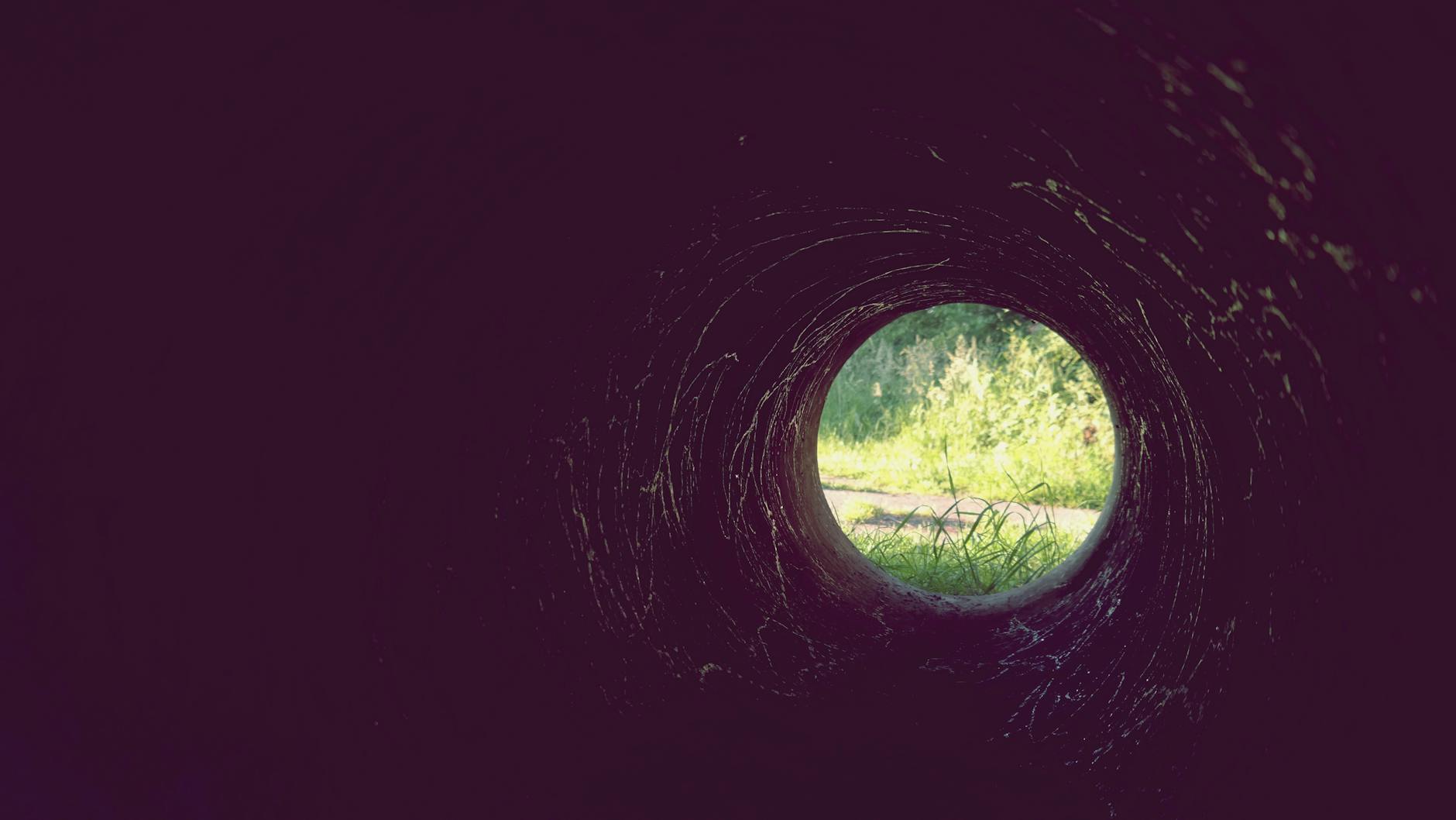 tunneled photo of green grass